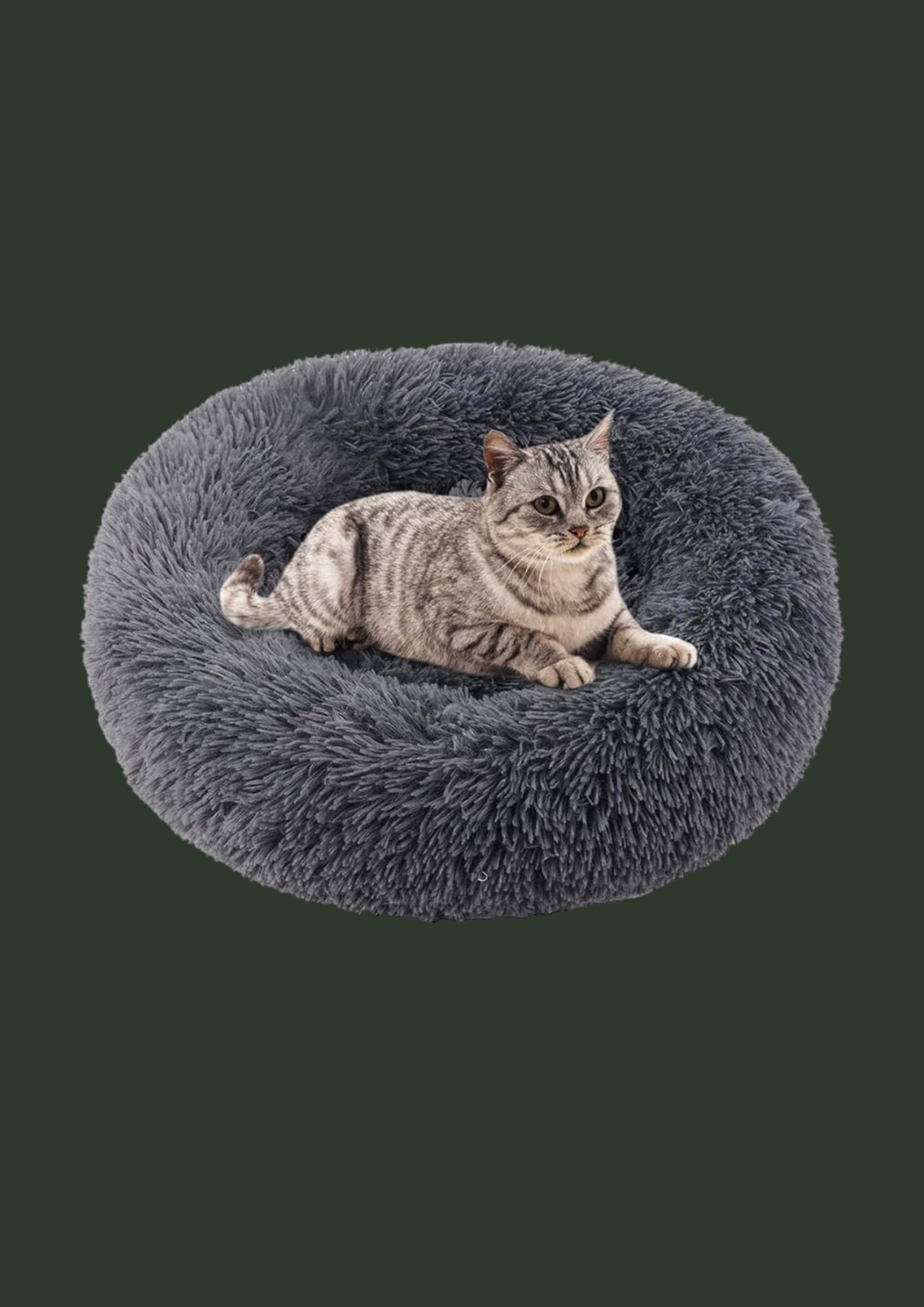 Panier pour animaux en forme de radis