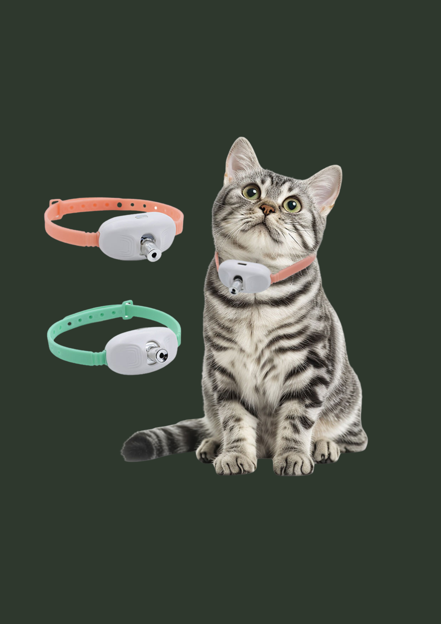 Bracelet Intelligent pour chat